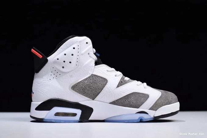 Flint Air CI3125-100 Grey Jordan 6 0723